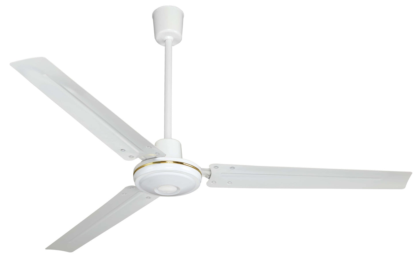 FOCUS 56 Inch Hot Sales F5622 Ceiling Fan With 4KG Motor High Quality